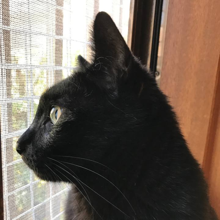 F14fead7 7200 4dd8 8a1e 76a4e3242ed0