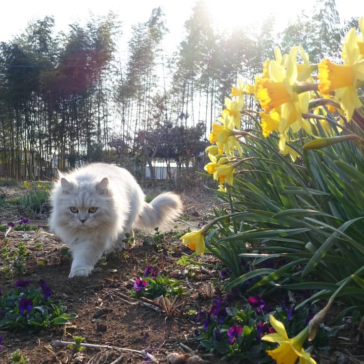 F14ff639 5cd8 4f2e a3a5 4c3cb18b9869