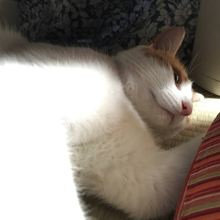 F15088a2 65d6 48cd 9fc9 9a96a23af52a