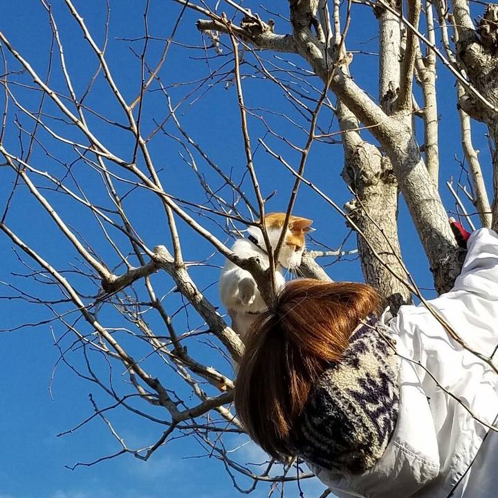 F150d557 d009 4087 a9aa 4326adaaec29