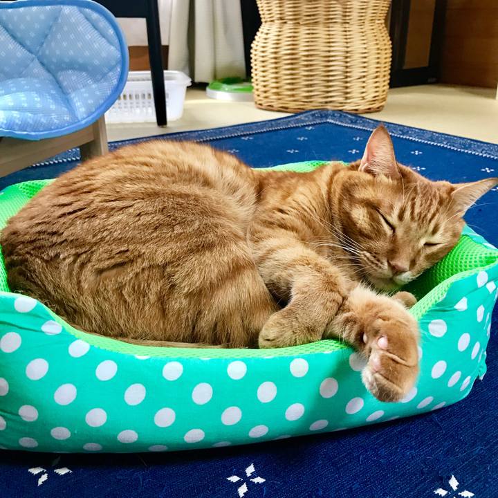 F15158d4 7bc0 470c 95ed 9c05f9091c7e