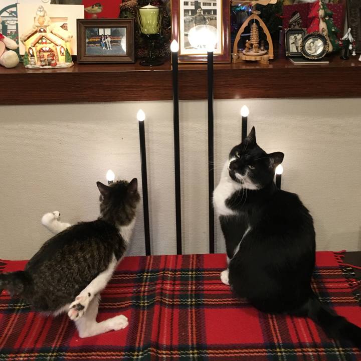 F1517ac3 1ca1 44f2 acc1 1b767593d102