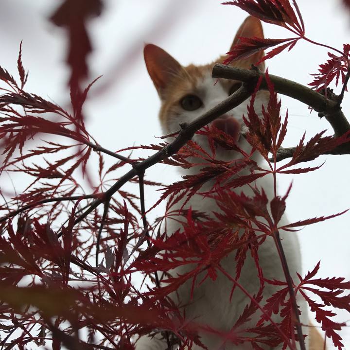 F1523c99 7518 4921 8b05 263970ddd8dd