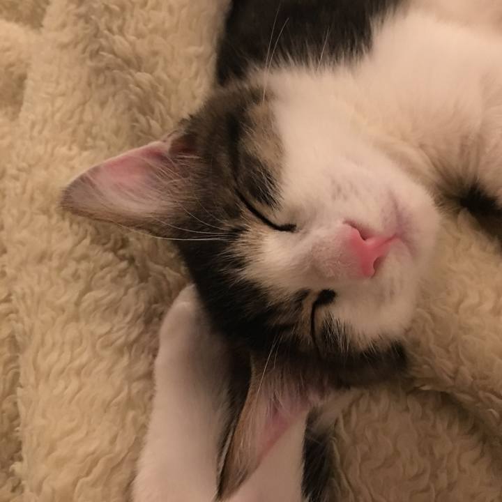 F1546291 1759 42e7 8e13 3c2096439106