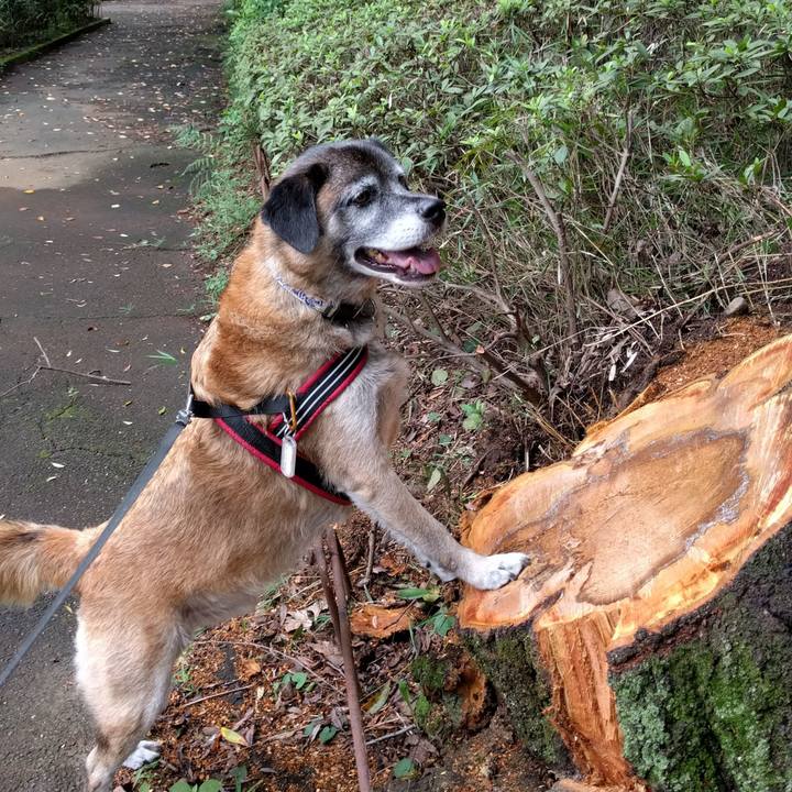 F15471c3 e20c 4442 9edd c44937d07107