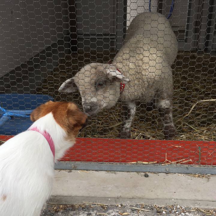 F154d878 8167 4ecf a257 175f143faf29