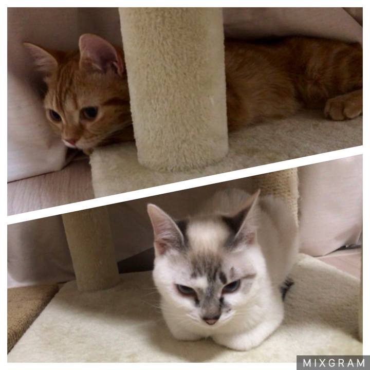 F15561b5 6d30 441f b480 fe0c516a90fd