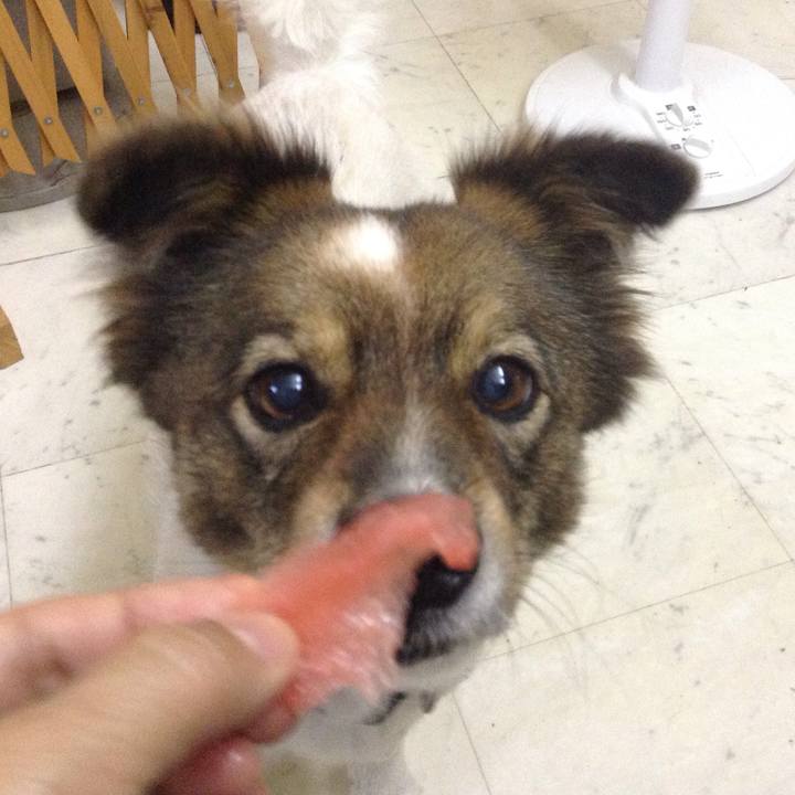 F1557151 0620 4e52 a575 31c63323af22