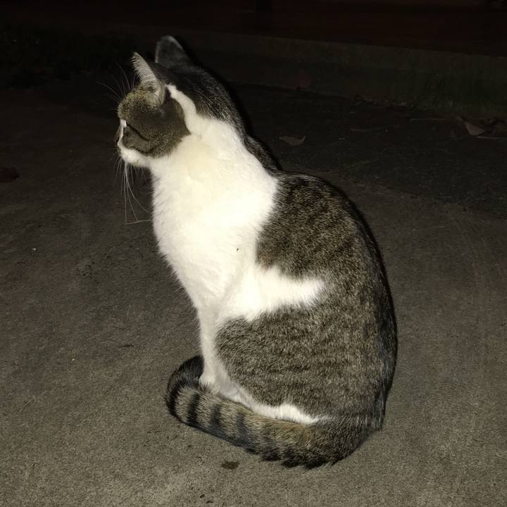 F155b94e e619 45e5 ae20 7e64f9bd0470