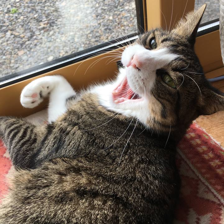 F155e292 418f 4360 a0fb 6a4ab73f643d