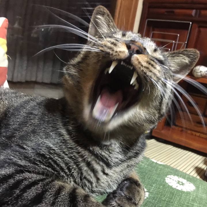 F15610b4 ef6f 40f3 a79b 2d7a2c91f4d4