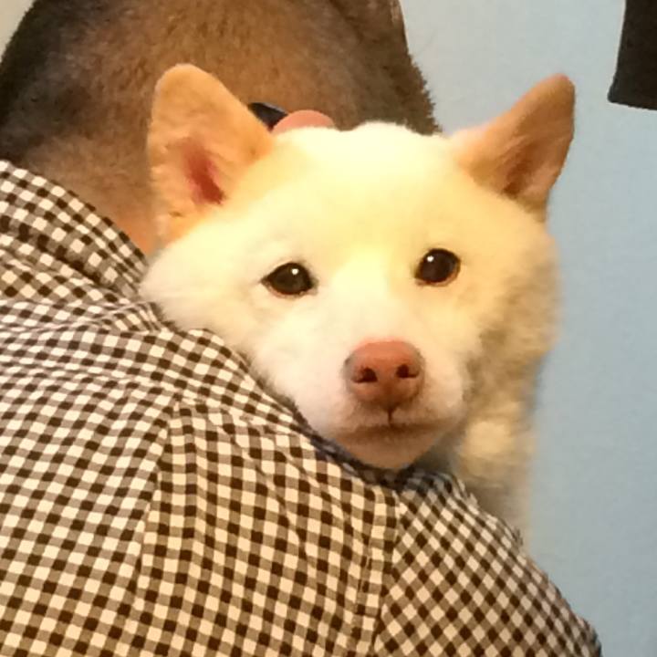 F1562f7d c80e 4a49 afbd 5e9994486969