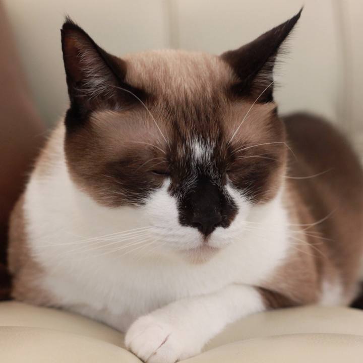 F156366a c5ca 4efd 8994 b70c4f2b3768