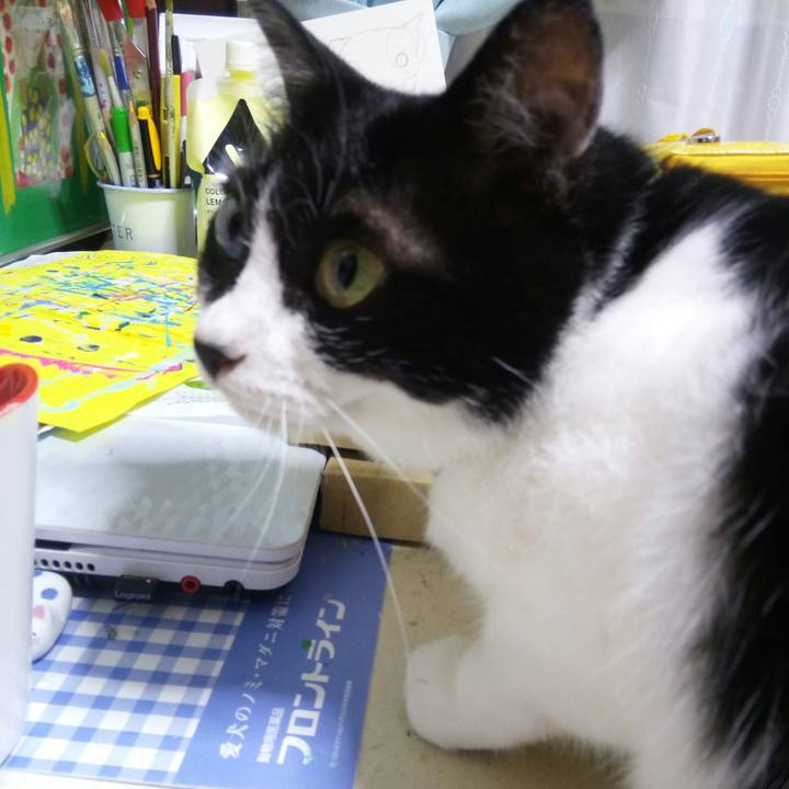 F15642c2 8057 49e2 bdd1 4540fc1b0197