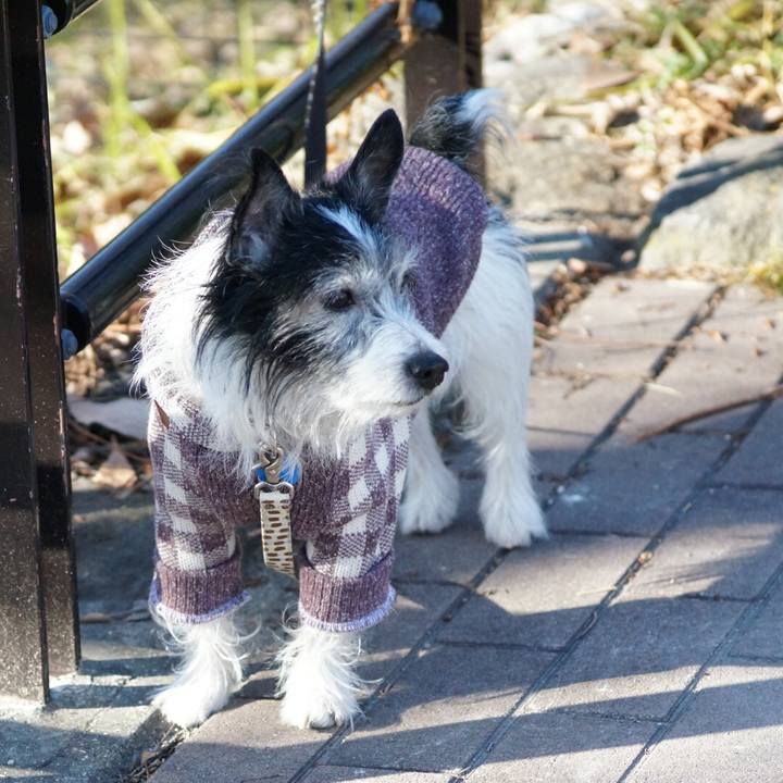 F1566b38 0226 45d2 a6cf ab7f909569a9