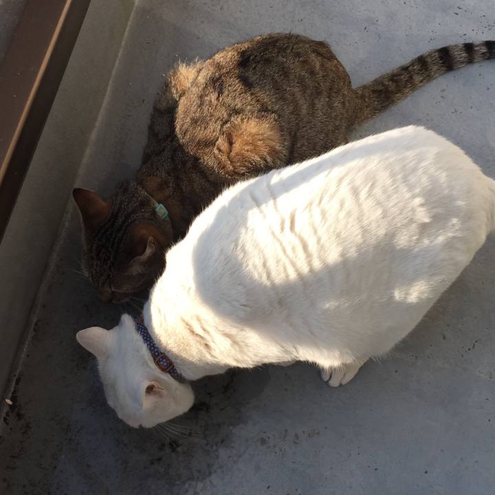 F157d173 213d 4bc4 b1f7 1dee767bbdda