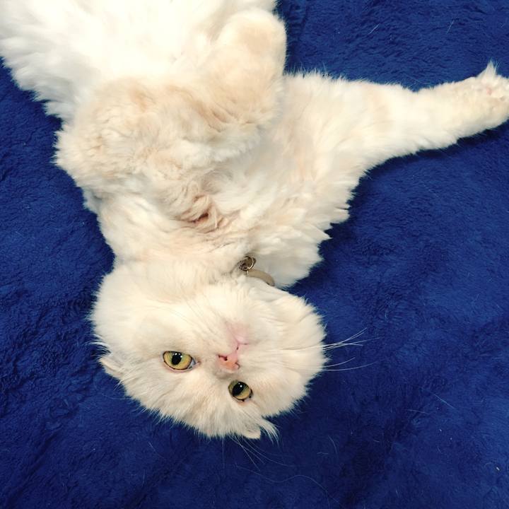 F1580326 e4d5 4af9 9c83 1599a9d071d0