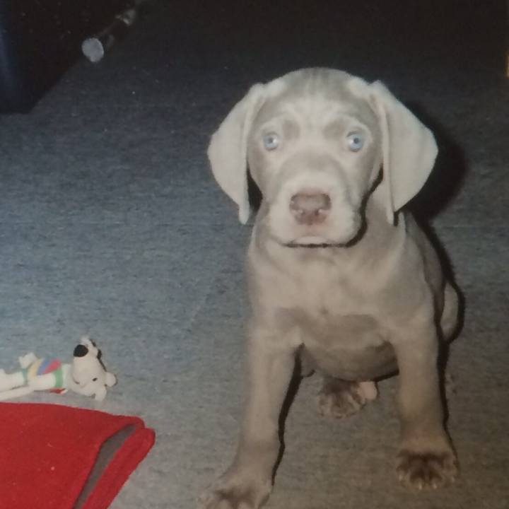 F15899fe eb5f 4a6a a156 b8d0b3854423