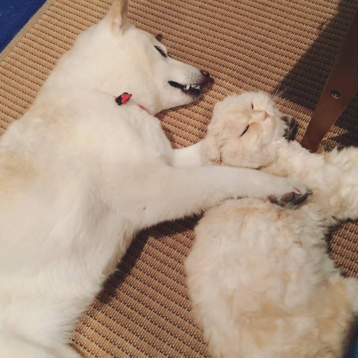 F158b413 0901 46a9 9973 da568bdd82e3