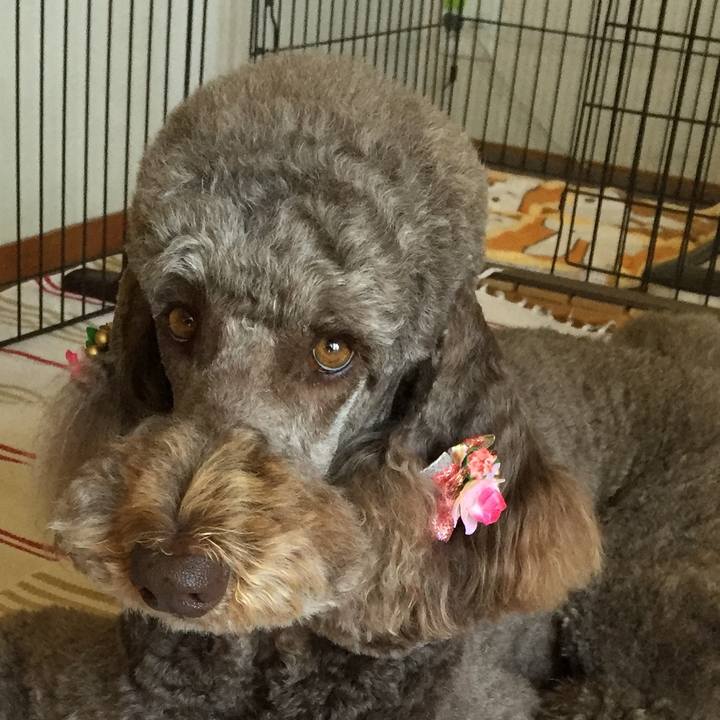 F1597845 4e30 4022 83d5 0bb0a3e6ce9d