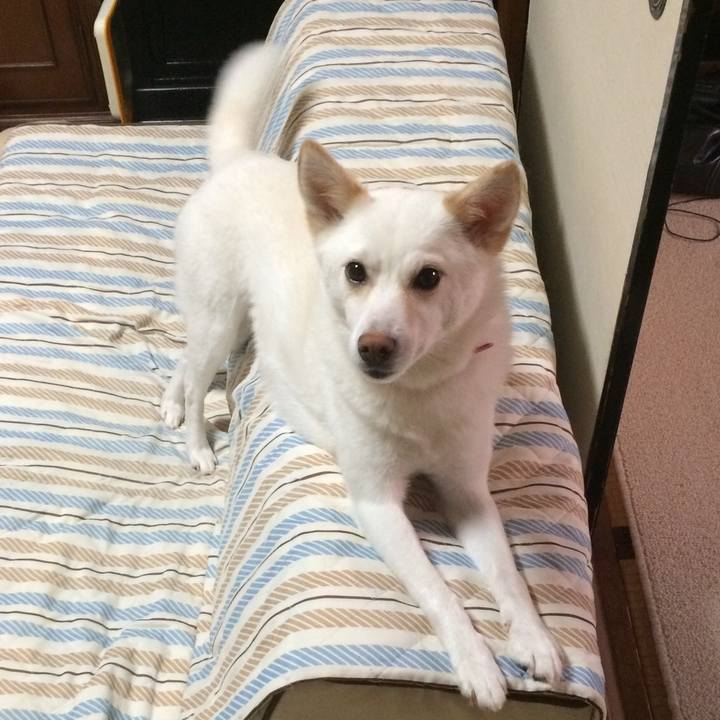 F159bbe2 1d30 4d88 b24a de0a8e5a76bd