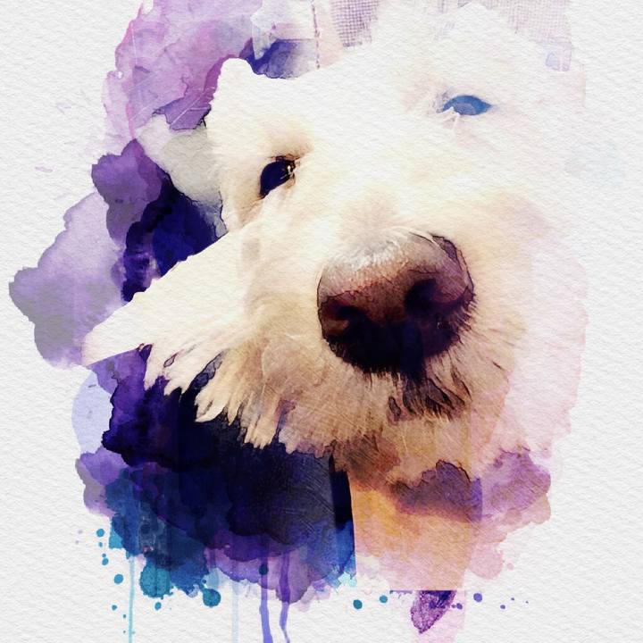 F159c10e e020 4989 bdfe 818e7fb9c263