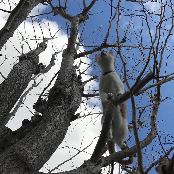 F15a42c9 4b05 46ef 9beb 1a5023e3d789