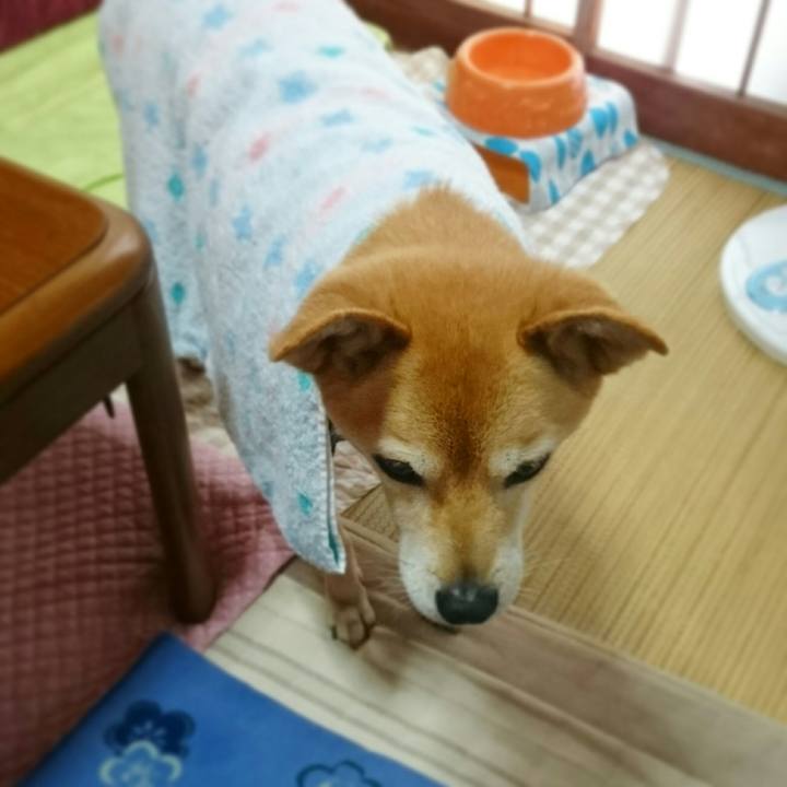 F15a6e10 d8bf 44c2 ba35 f5fd42993ea7