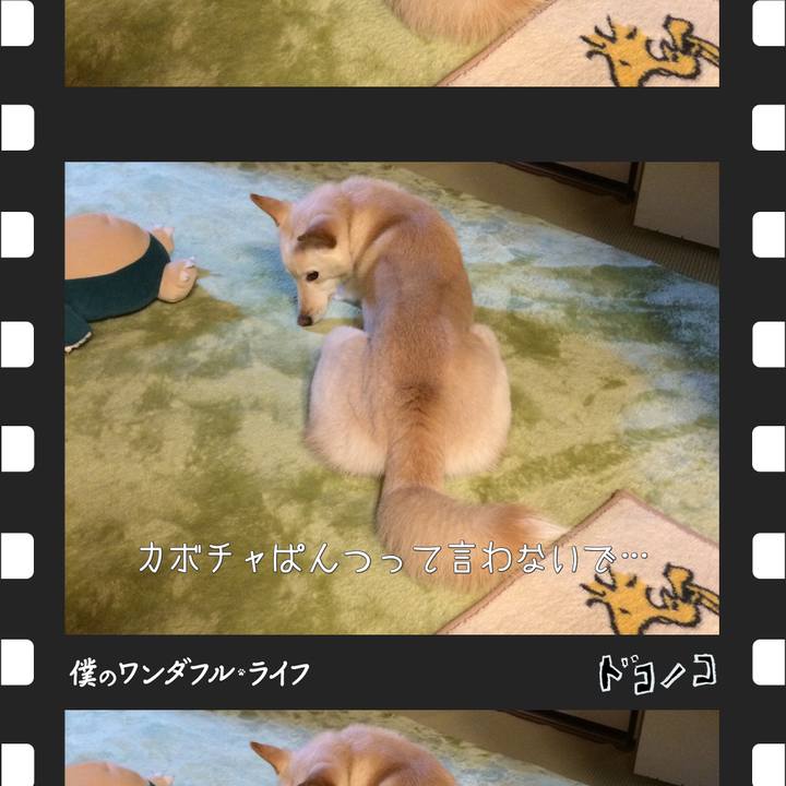 F15a95e2 39ff 4bd4 a2e2 8ee021049d73