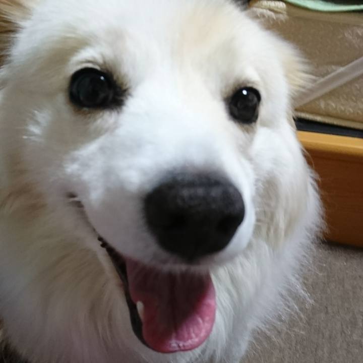 F15aa16f fbcc 4fef a3d6 267aa76b09ae