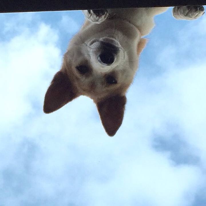 F15ac1ab d420 4bd2 9c98 73656b342c51