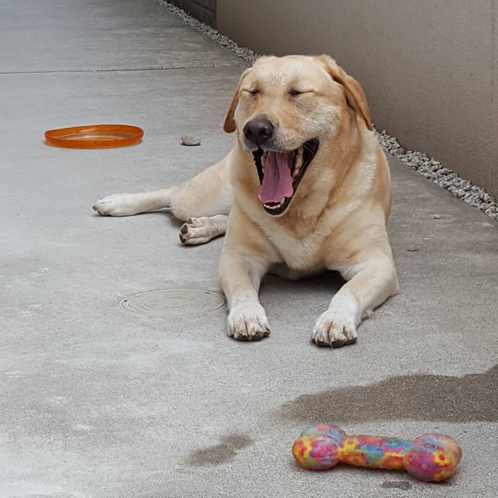 F15aee37 4981 401e 846a f185b6afc554