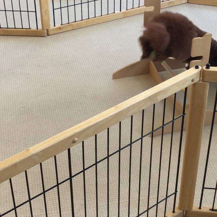 F15b29cf 0db3 4306 bbf8 b17bcfbff0f7