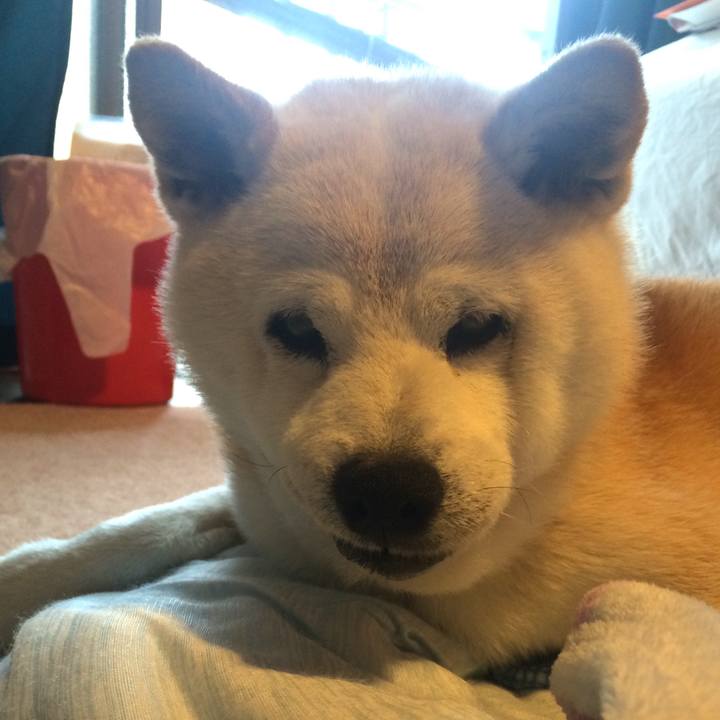 F15b6a57 92d4 4a7d 93bf 4da21a246f7f