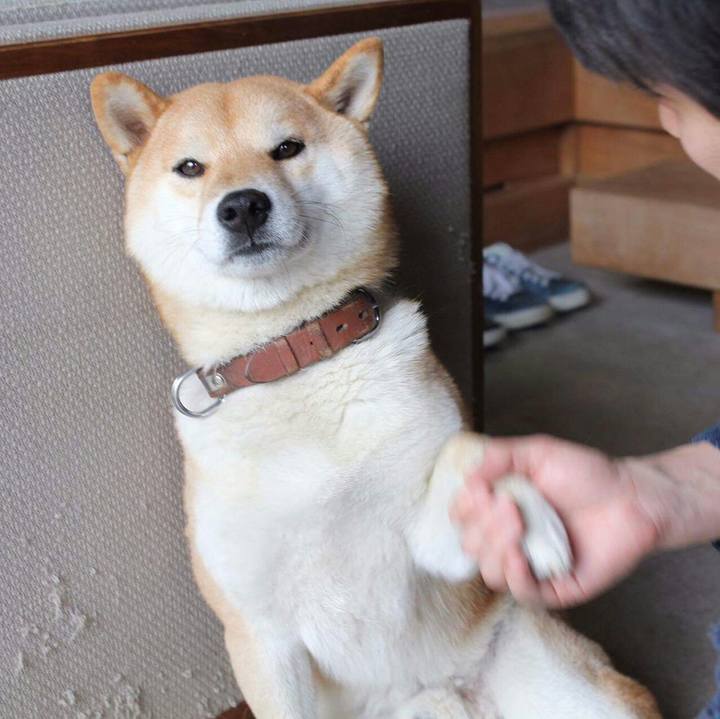 F15beb73 371b 48a8 a11e 334280c7ec8a