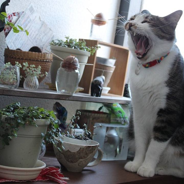 F15bf8b8 f7ee 4ff6 9b23 f41f7c01da82