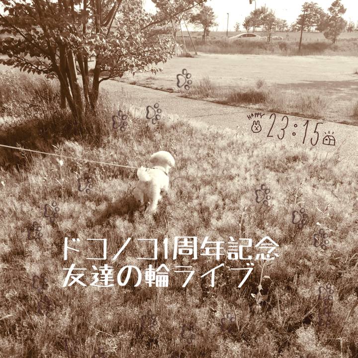 F15cbbdd c3af 47b4 adbf fa2d8c58d02f