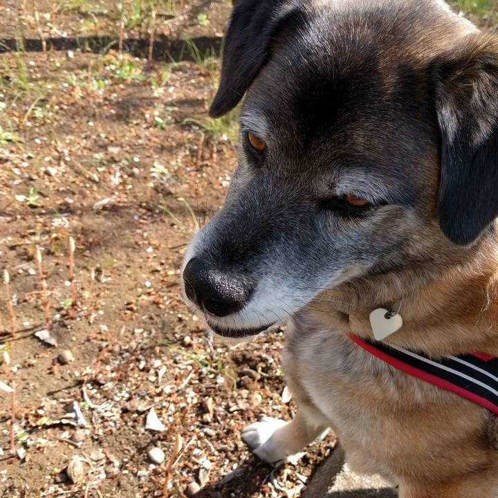 F15d2297 0218 4615 a3ec 95517dda3ada