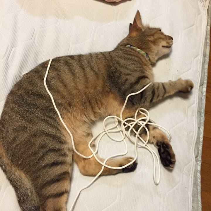 F15d42a1 bd31 4fad bc8d 8ba7b3e8060f