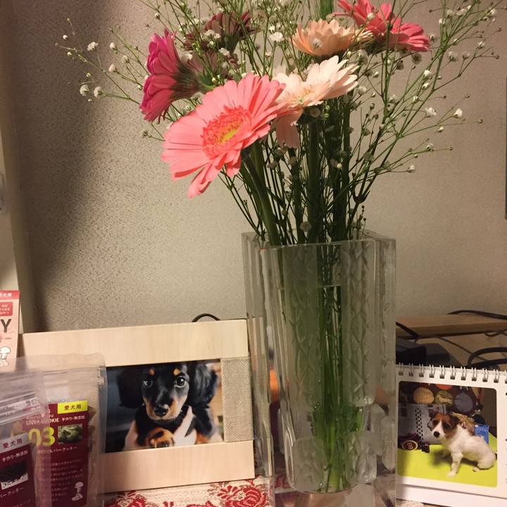 F15d5a8c eb0f 4f6d 80a3 4482a1d9b0d4