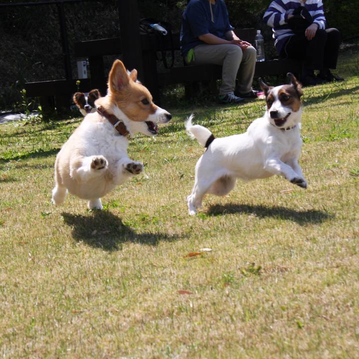 F15d604a ec75 49fe 930f 28c3271ca82a