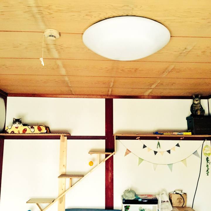 F15dae78 acb4 4d39 8454 dfa3030787b8