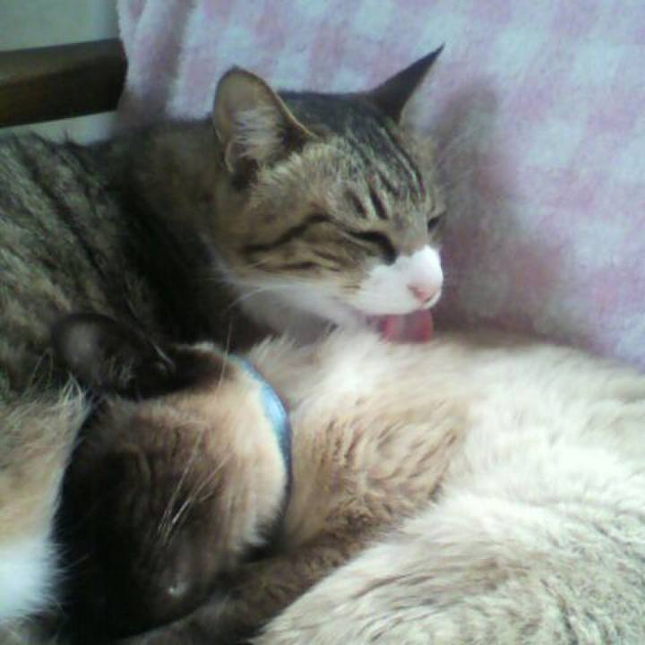 F15dc58b 269b 46a2 9342 637affeed013