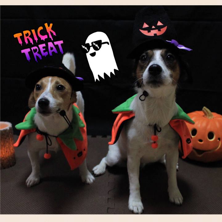 F15e29f6 58fd 4d0a bb25 1bf961d471e5