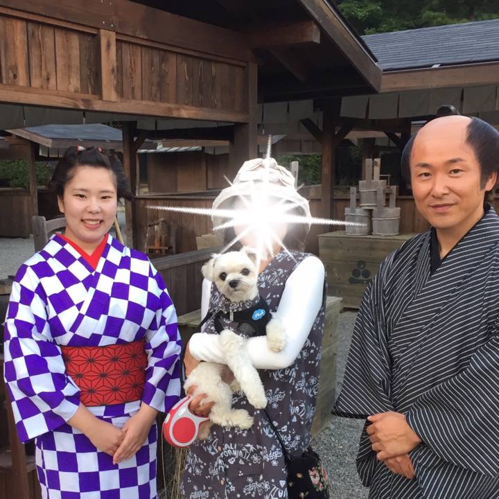 F15e35cd e519 4a8e bb57 f5d19c906076