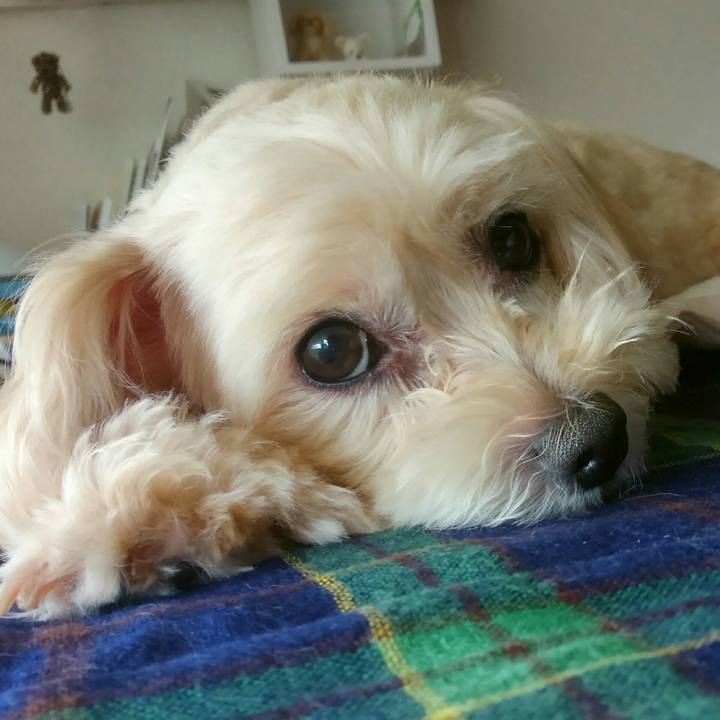 F15fae01 f0c0 4061 b954 ffad46ae53df