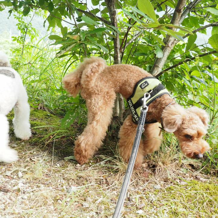 F15fe8af bfbc 426e 8d61 5d92aca81b93