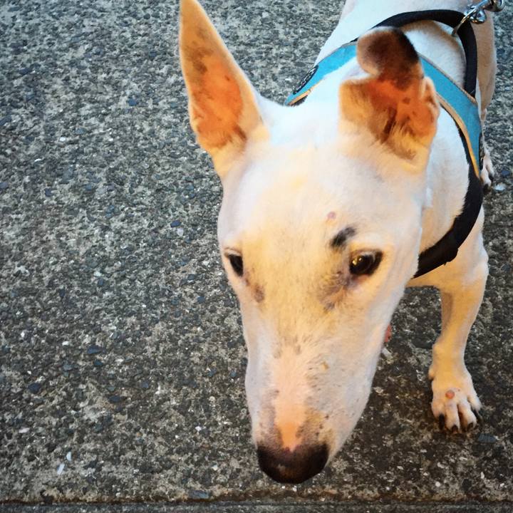 F1602f8a 45ca 4b50 bf82 4c4972ece525