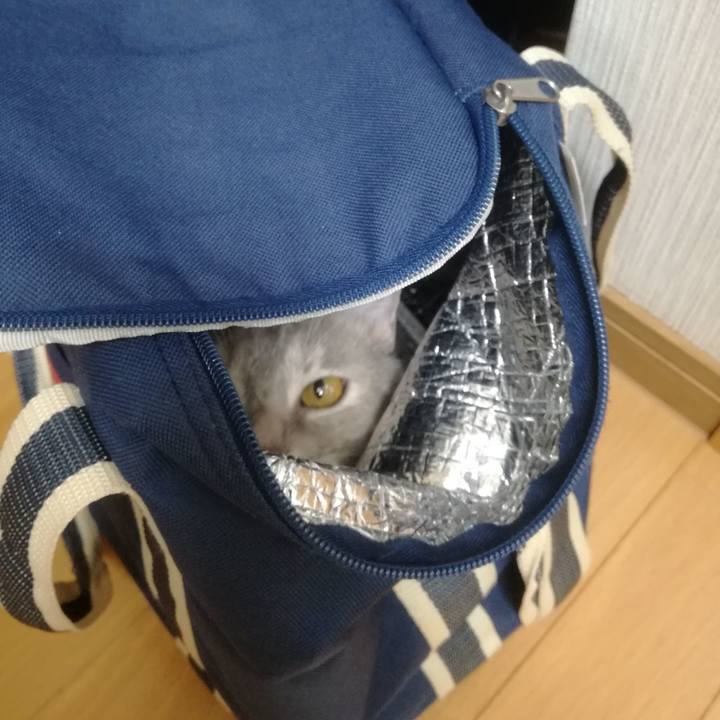 F160e983 8cd5 4ce3 b923 abfac0a24151