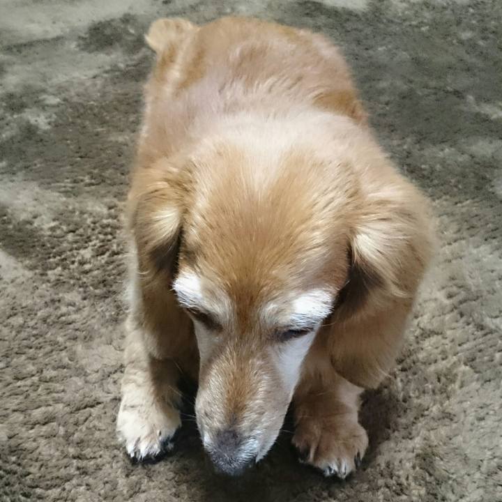 F1610ec8 6085 45ac b79a ecb8feea4a7f